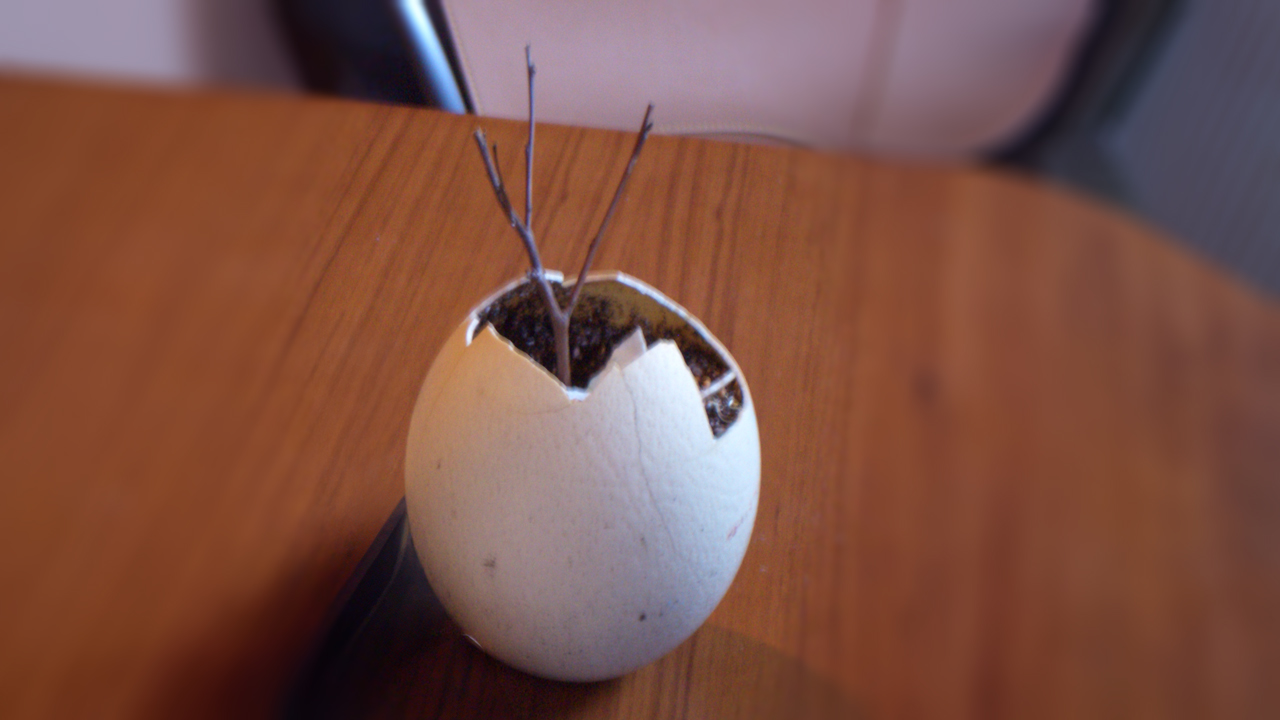 食するお肉について