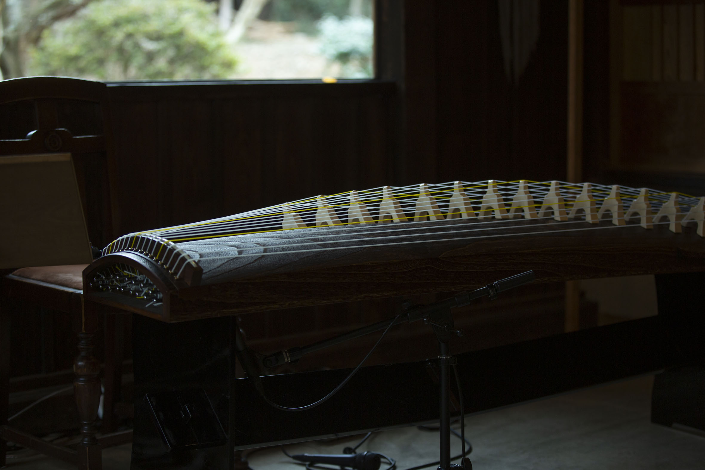 17絃箏との出会い