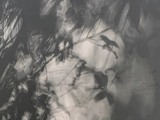 "MOLLOY"の由来について