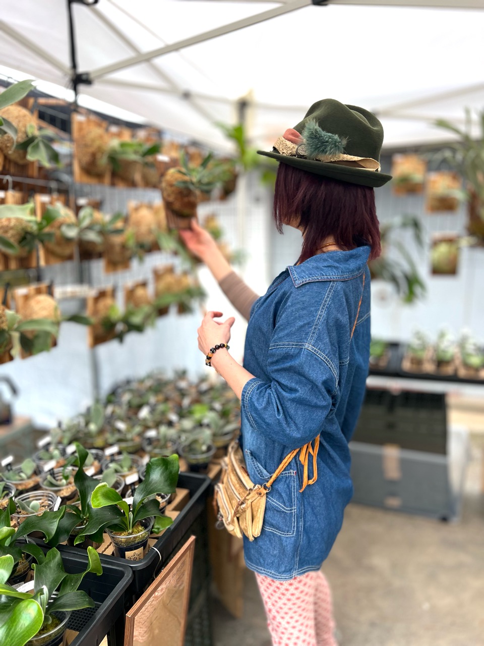 東京初進出『ビカク横丁』無事終了しました🌱