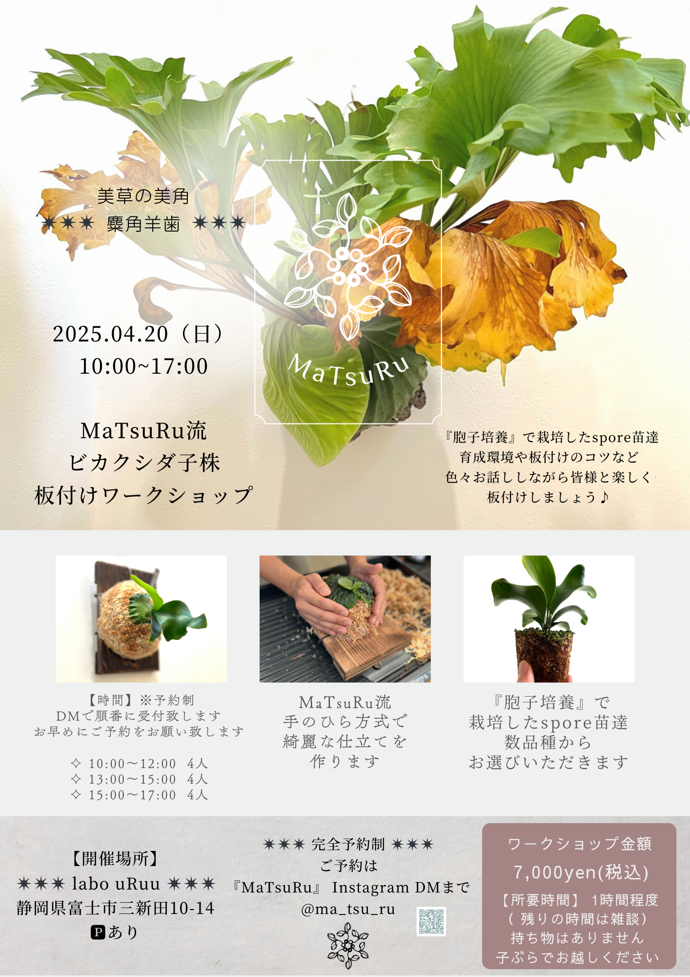 ✴︎ ビカクシダ板付けワークショップ ✴︎のお知らせ