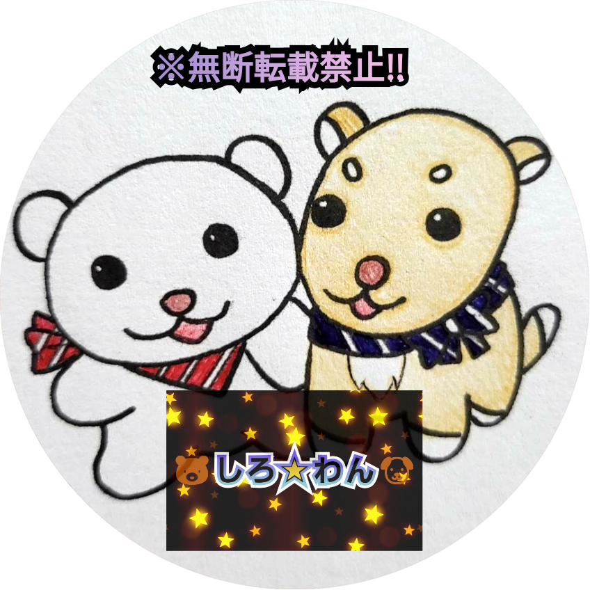 2024年9月1日(日)念願のオープン‼🌟