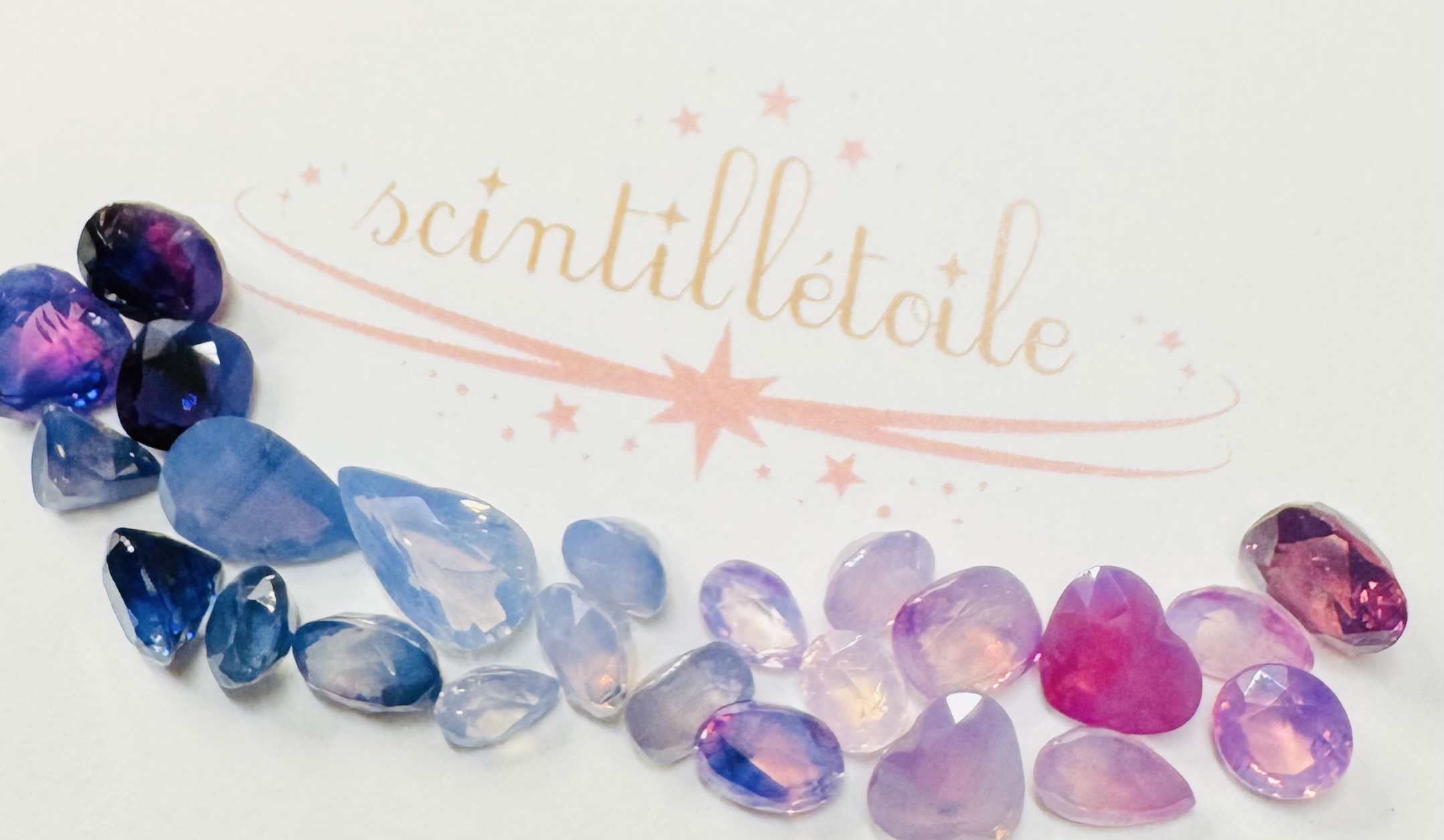 1歳になりました!