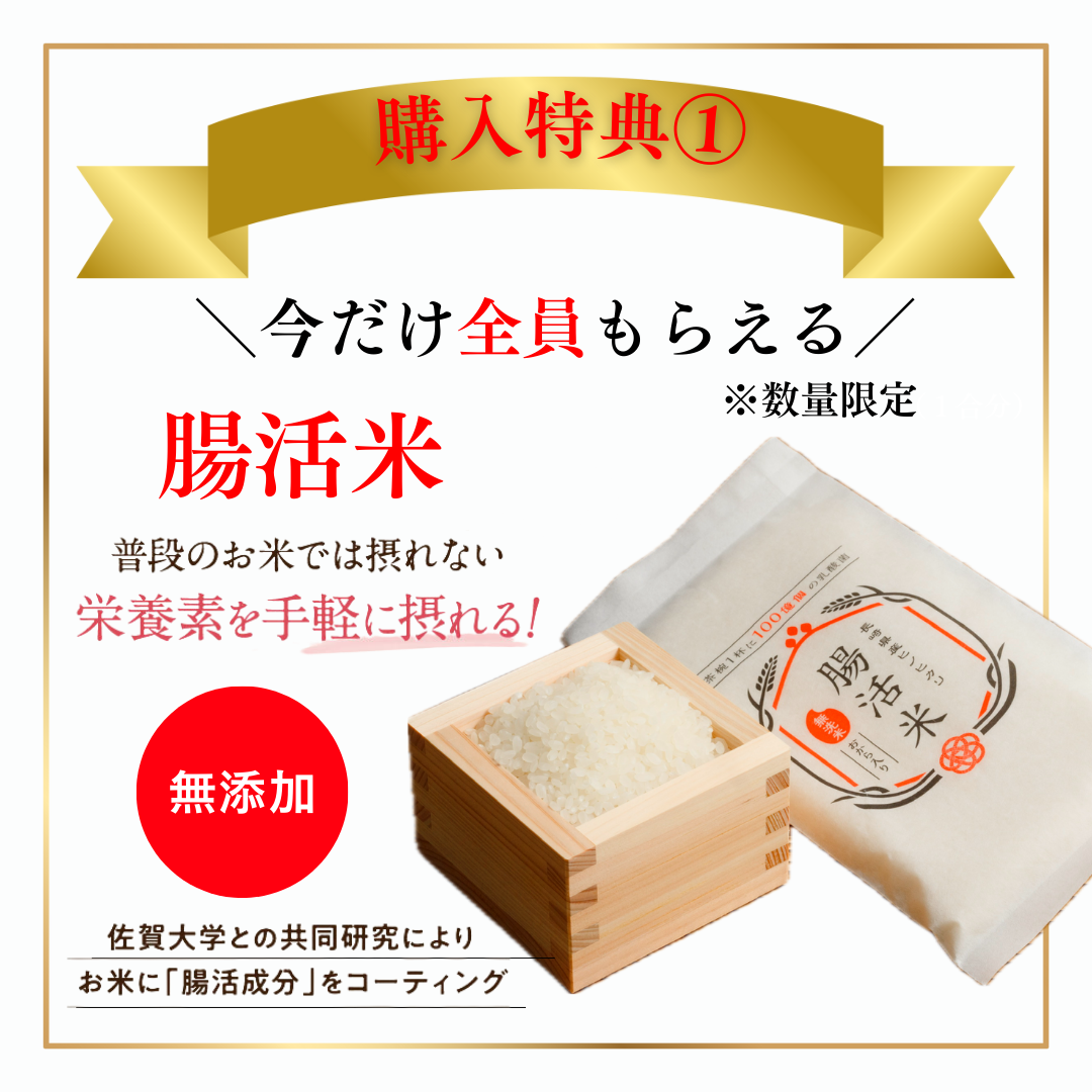 🎁数量限定！腸活米プレゼントキャンペーン開催中【クルミラショップ限定】