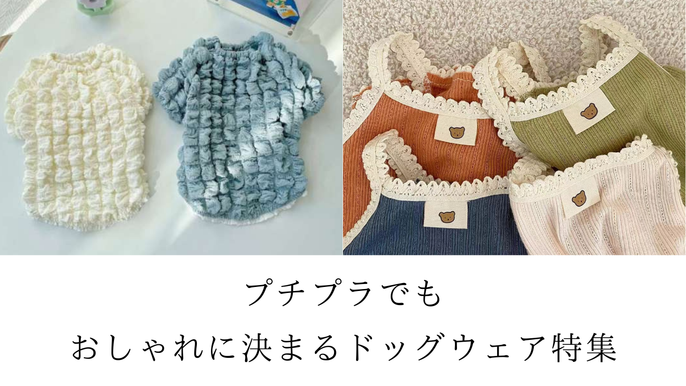 全部2,000円台！プチプラでもおしゃれに決まるドッグウェア特集