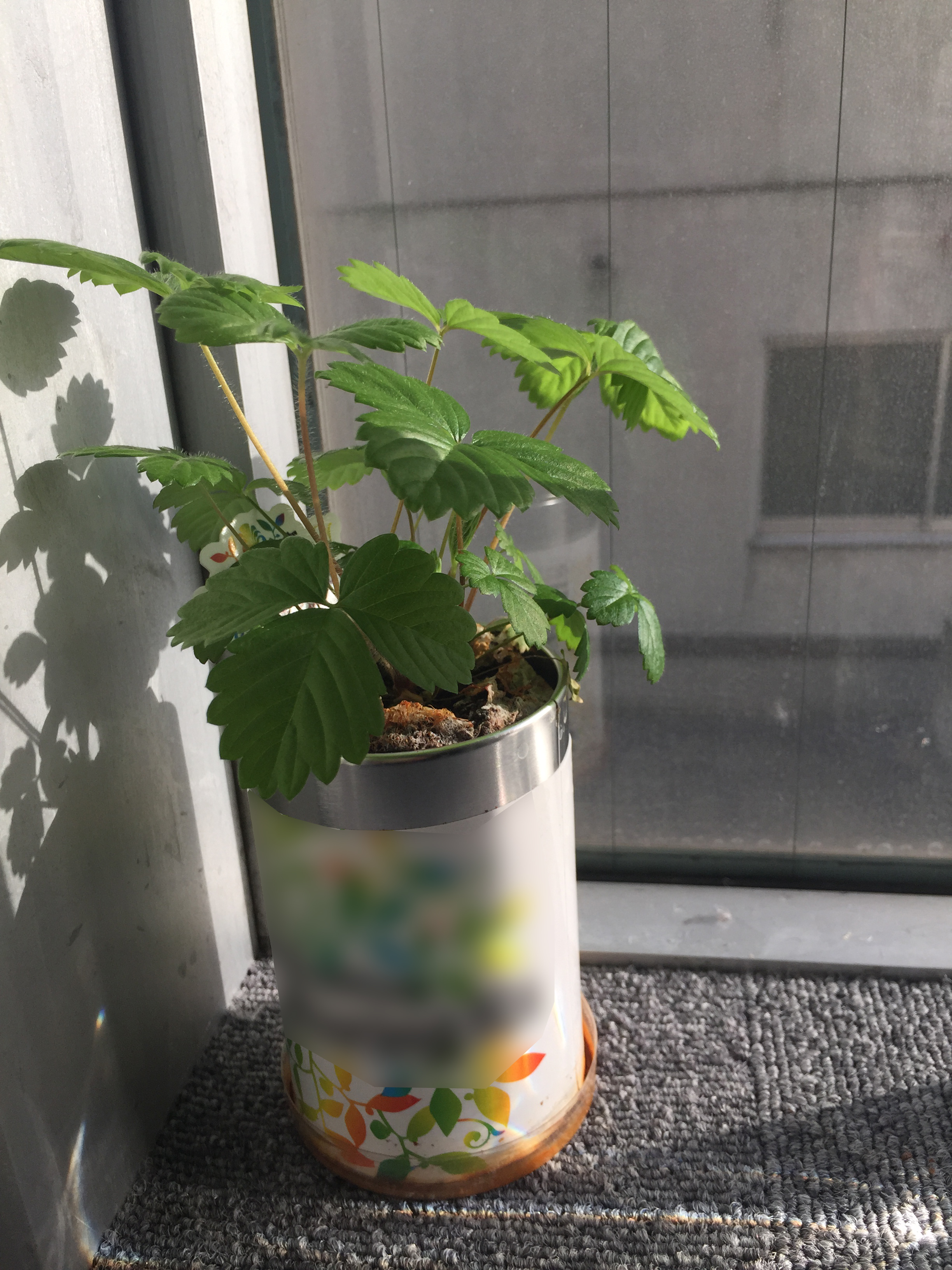 このサービスを始めようと思ったきっかけ。