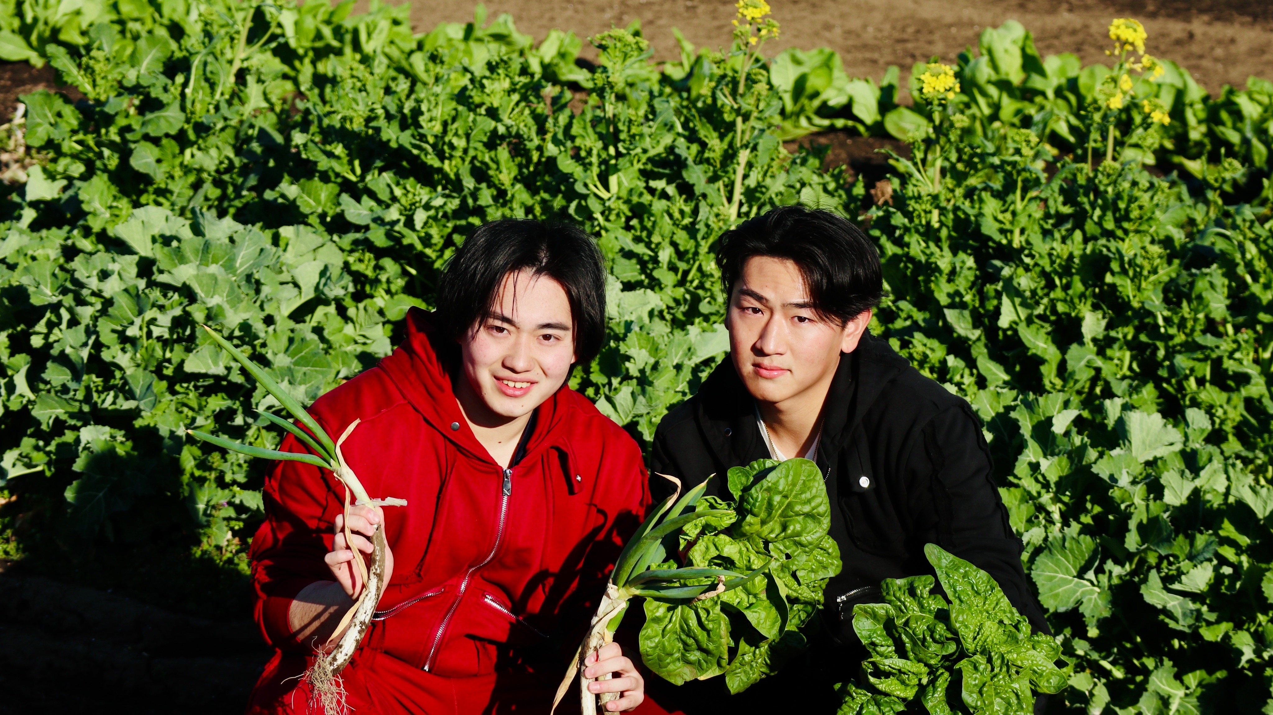 Oimo Fit開発ストーリー｜“捨てられるはずのさつまいも”が栄養に変わるまで