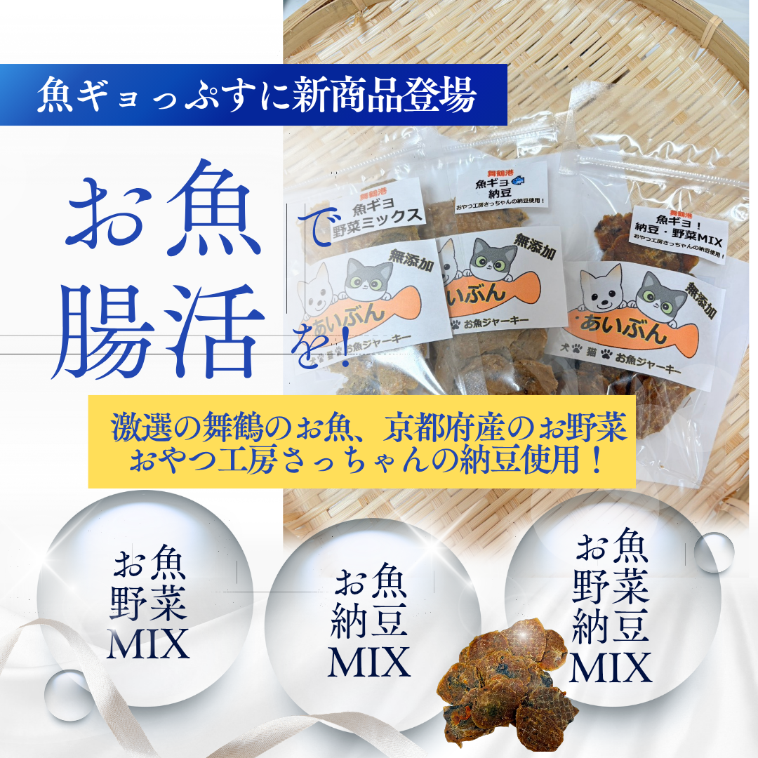 お魚で腸活してみませんか☺️
