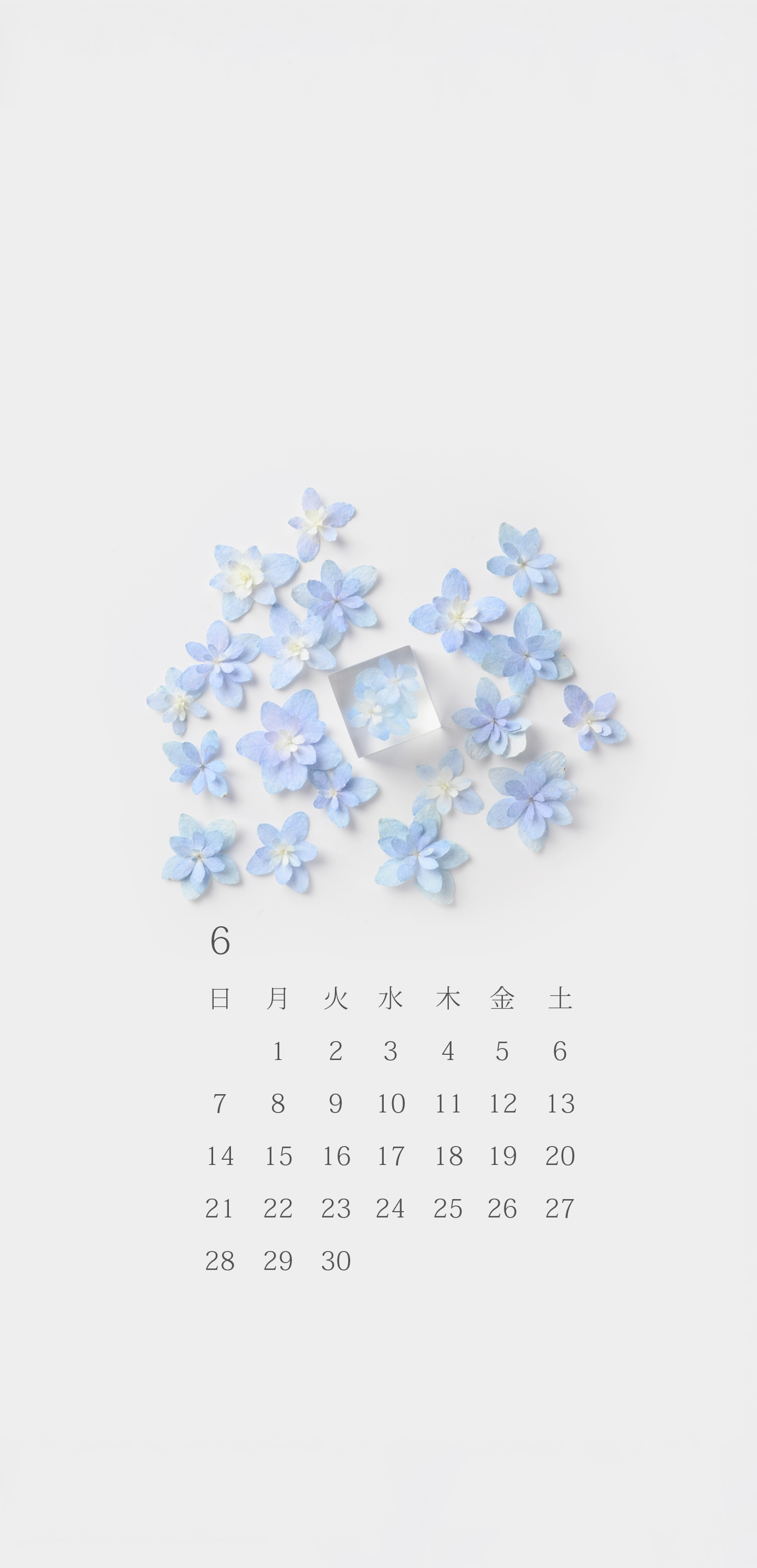 無料ロック画面カレンダー 「6月 紫陽花」