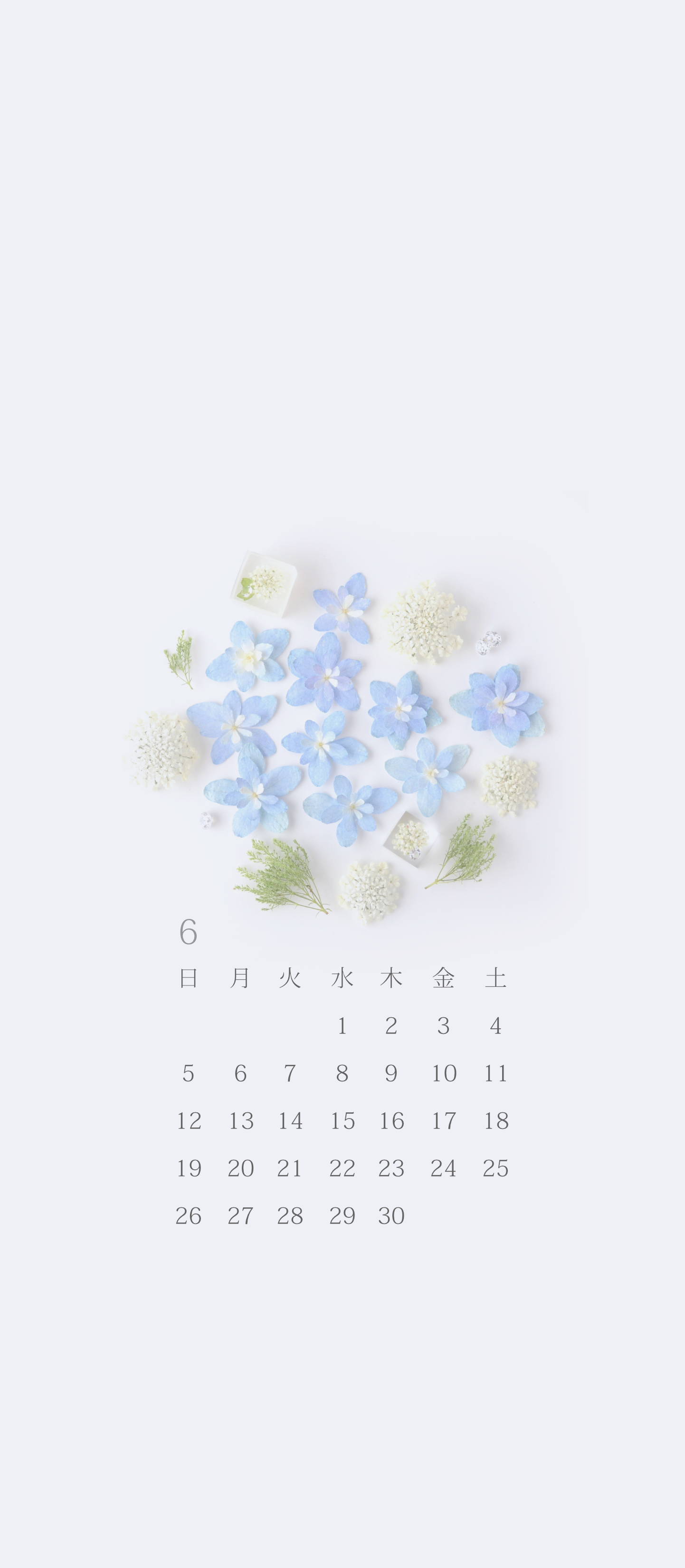 無料ロック画面カレンダー 「6月 紫陽花」