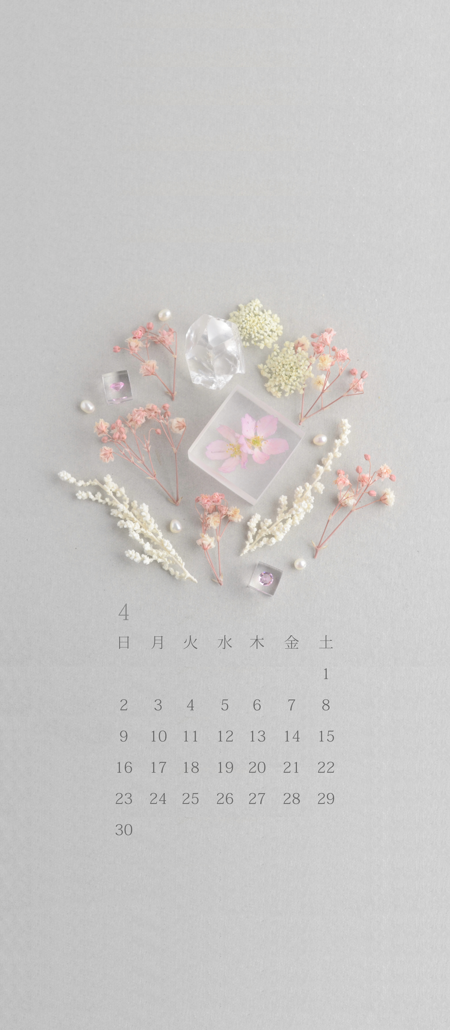 無料ロック画面カレンダー 「4月 麗春」