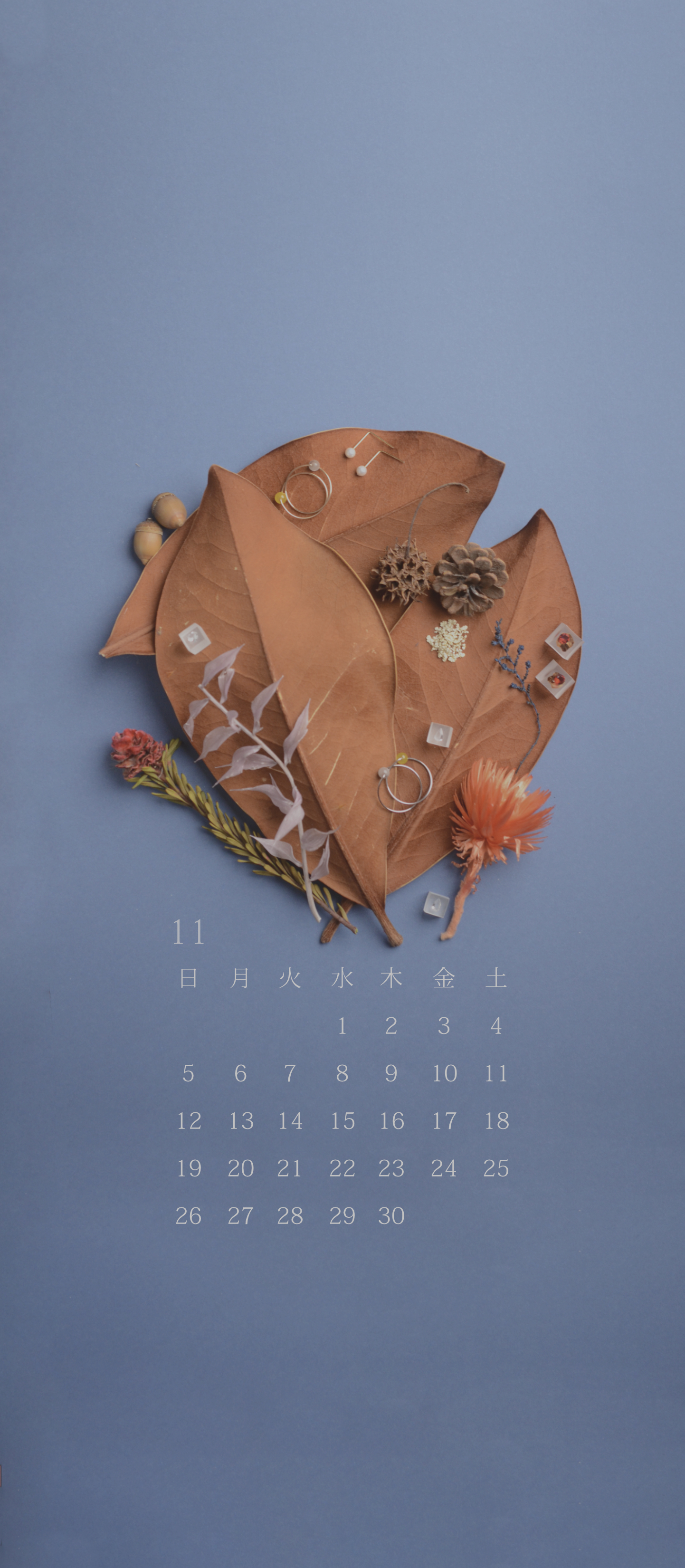 無料スマホカレンダー 「11月 落ち葉の宇宙」