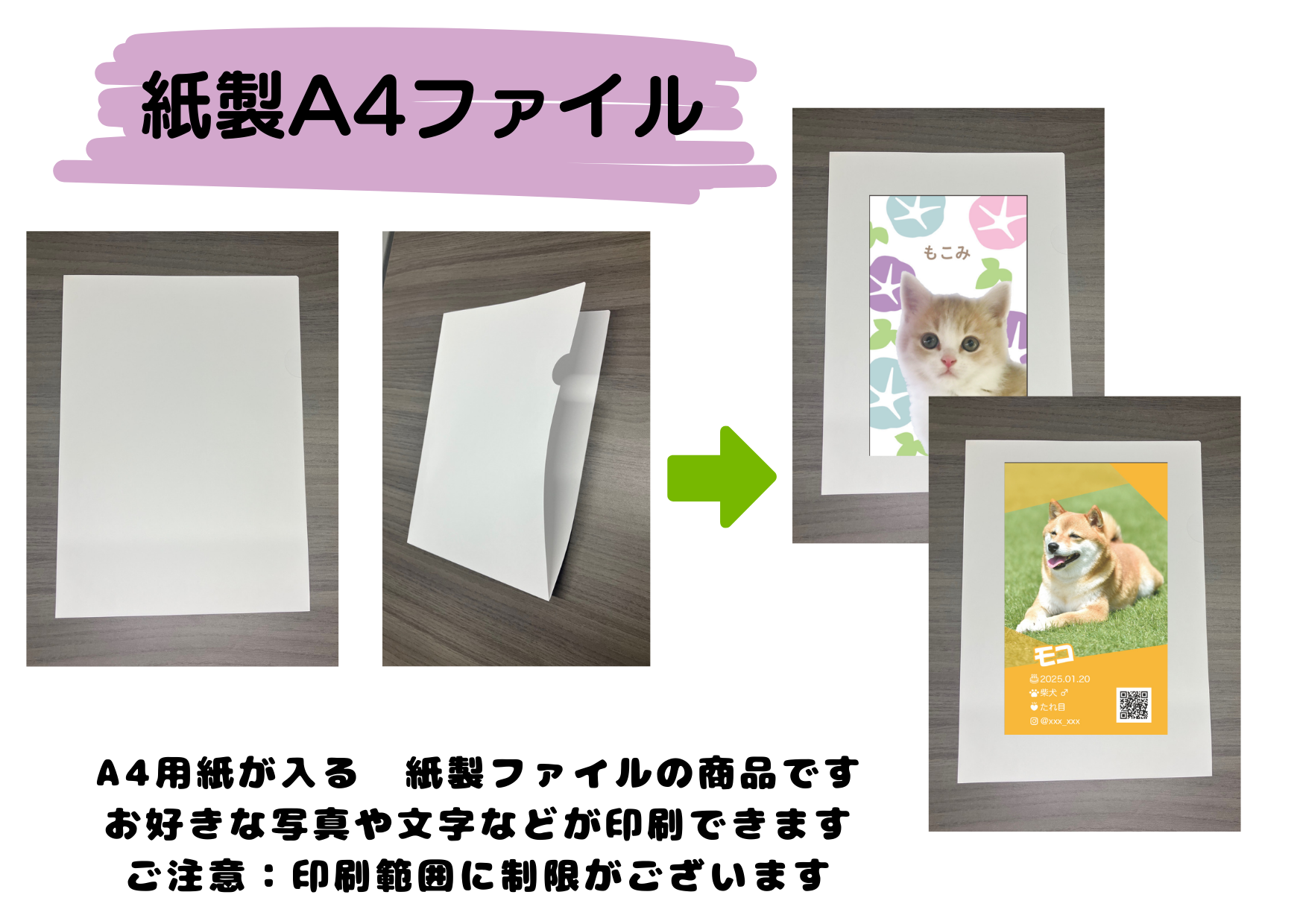 紙製A4ファイルの販売を始めました！