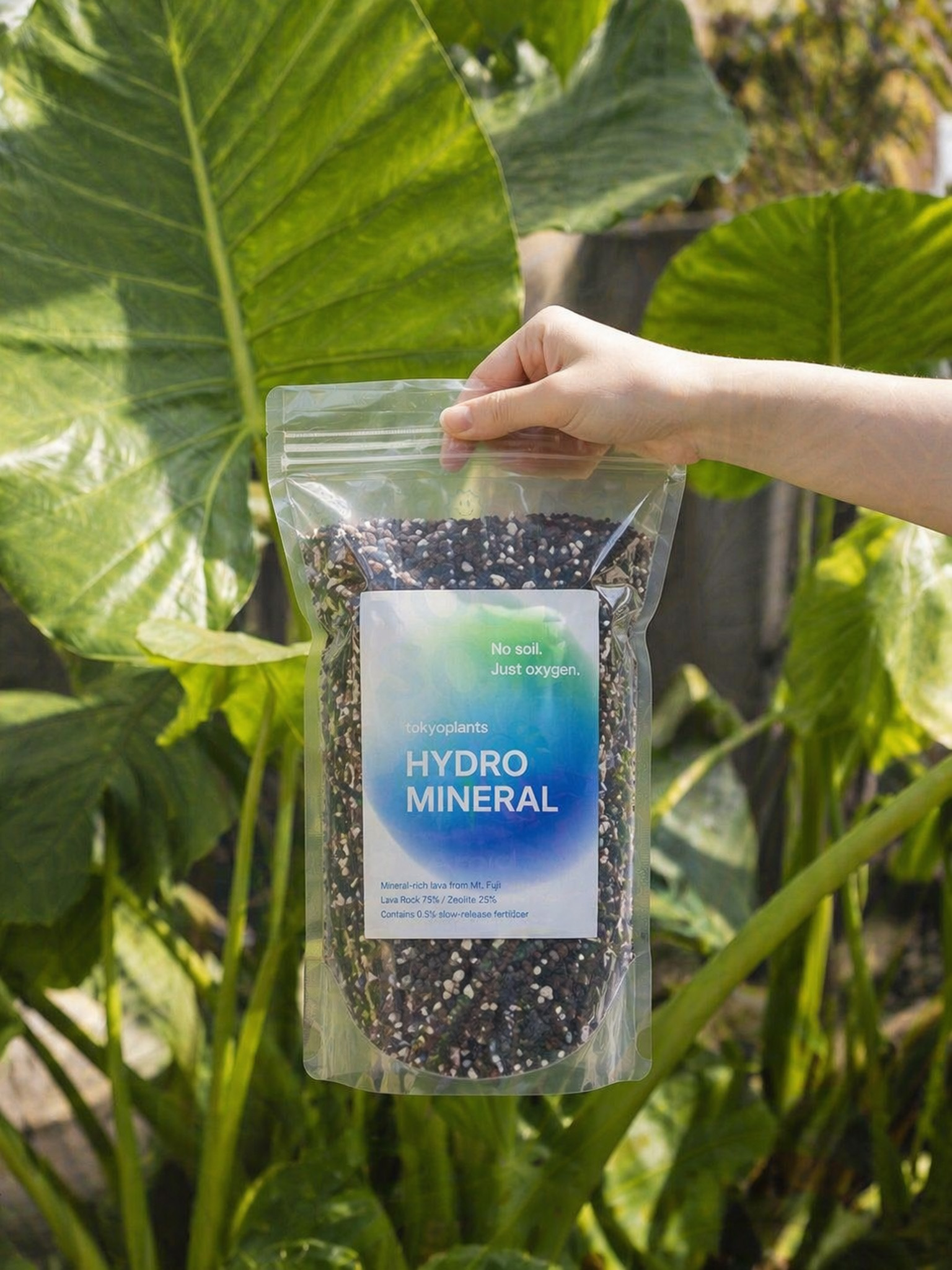 新商品のお知らせ|HYDRO MINERAL — 土を使わない、新しい植物の育て方