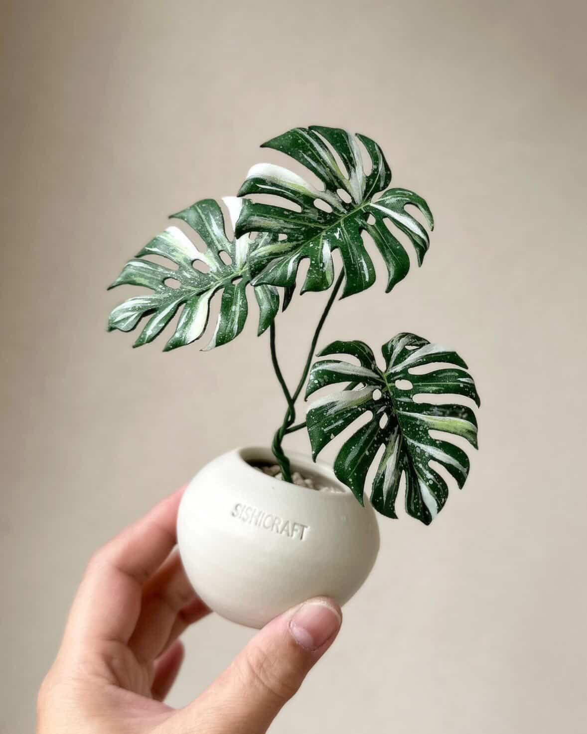 台湾で出会った、レザーのモンステラ——SISHI CRAFT × tokyoplants、日本初展開