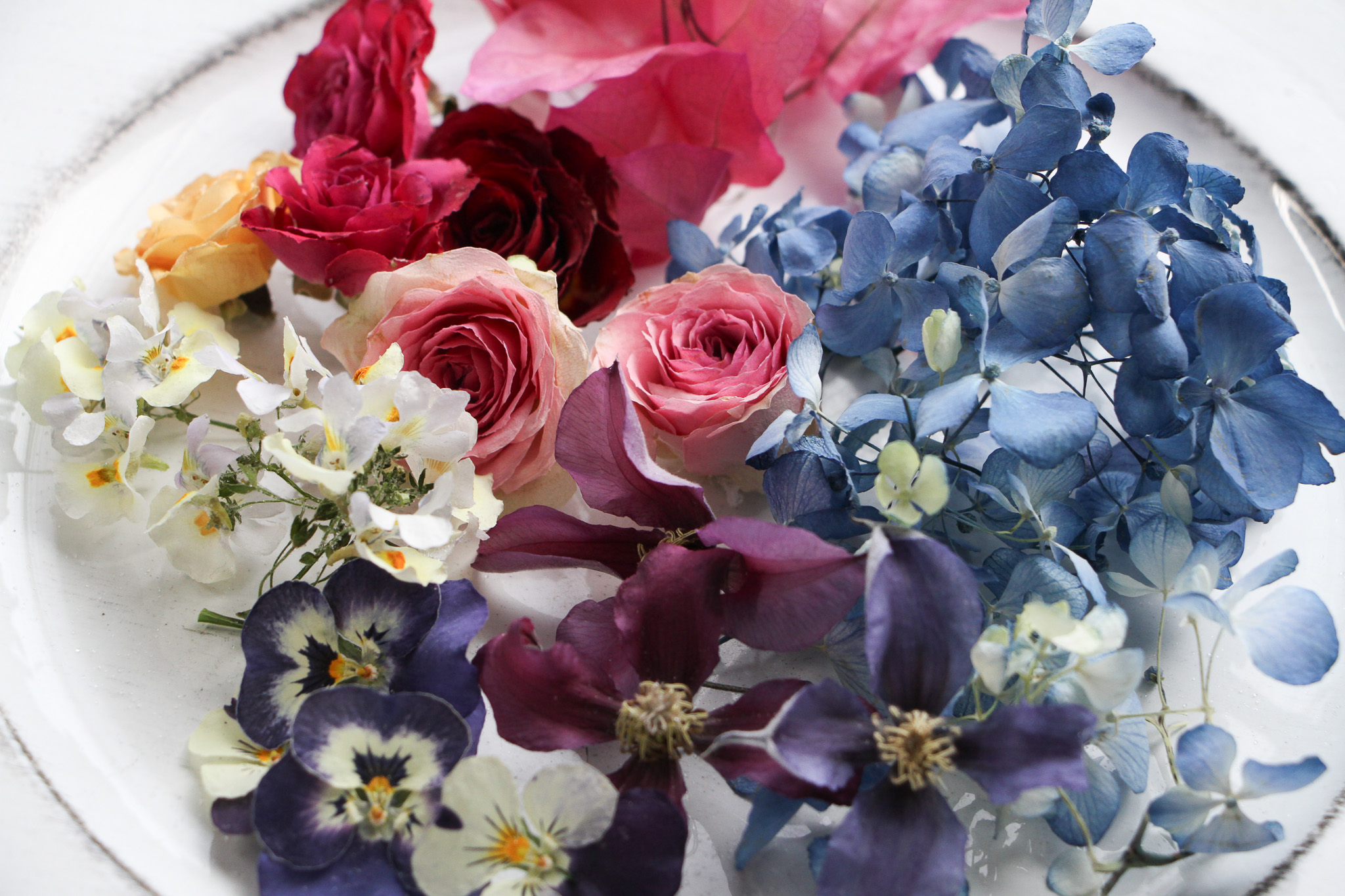 はじめまして。raruboからのご挨拶