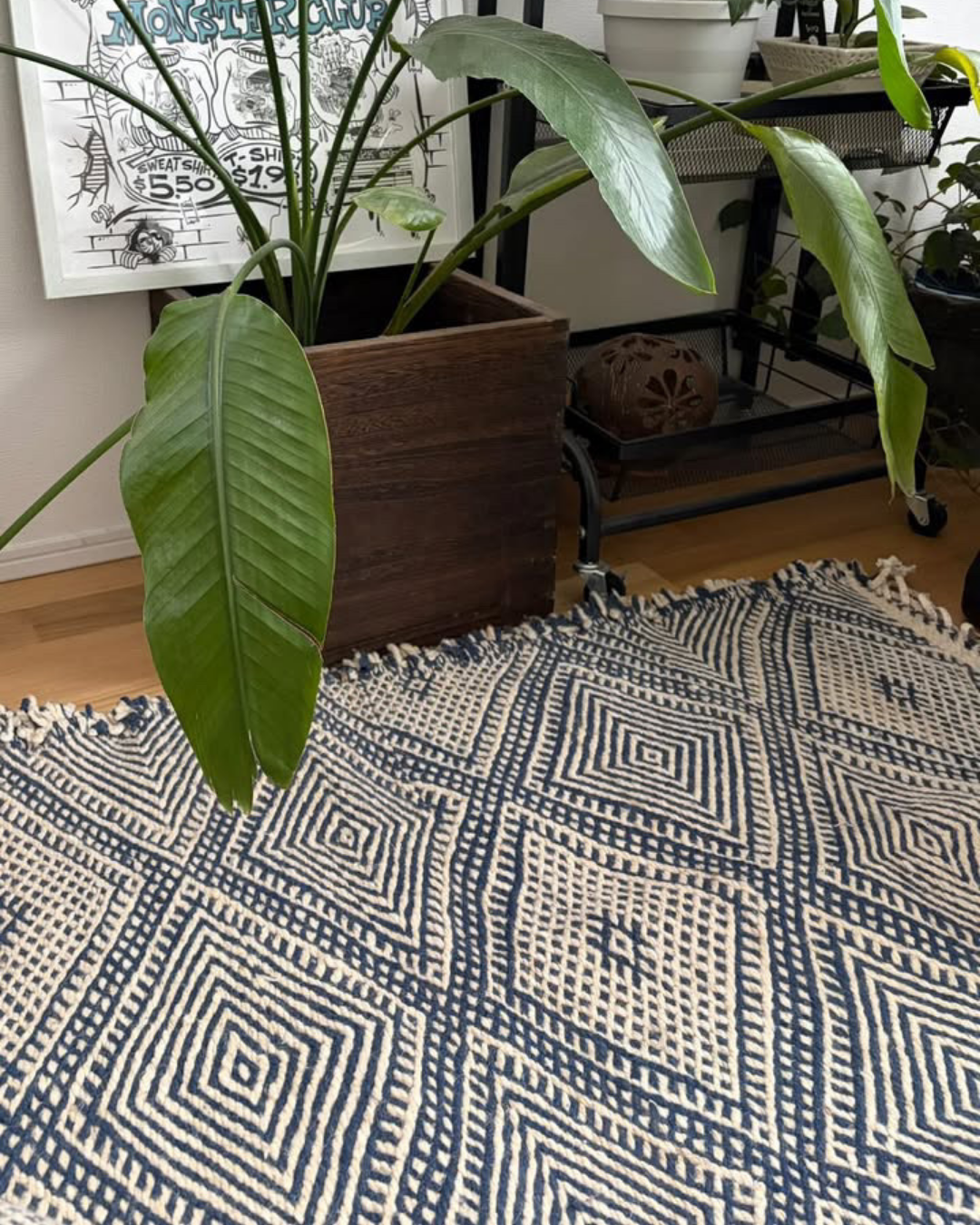 【お客様実例集】暮らしながら、「うちの子」になるザナフィ