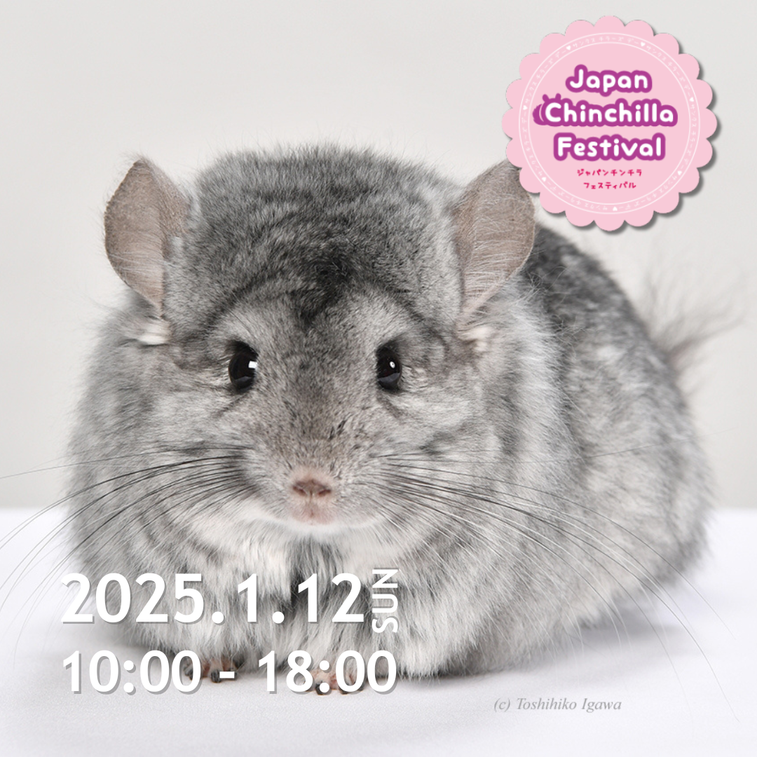 チラフェス2025に出展します。