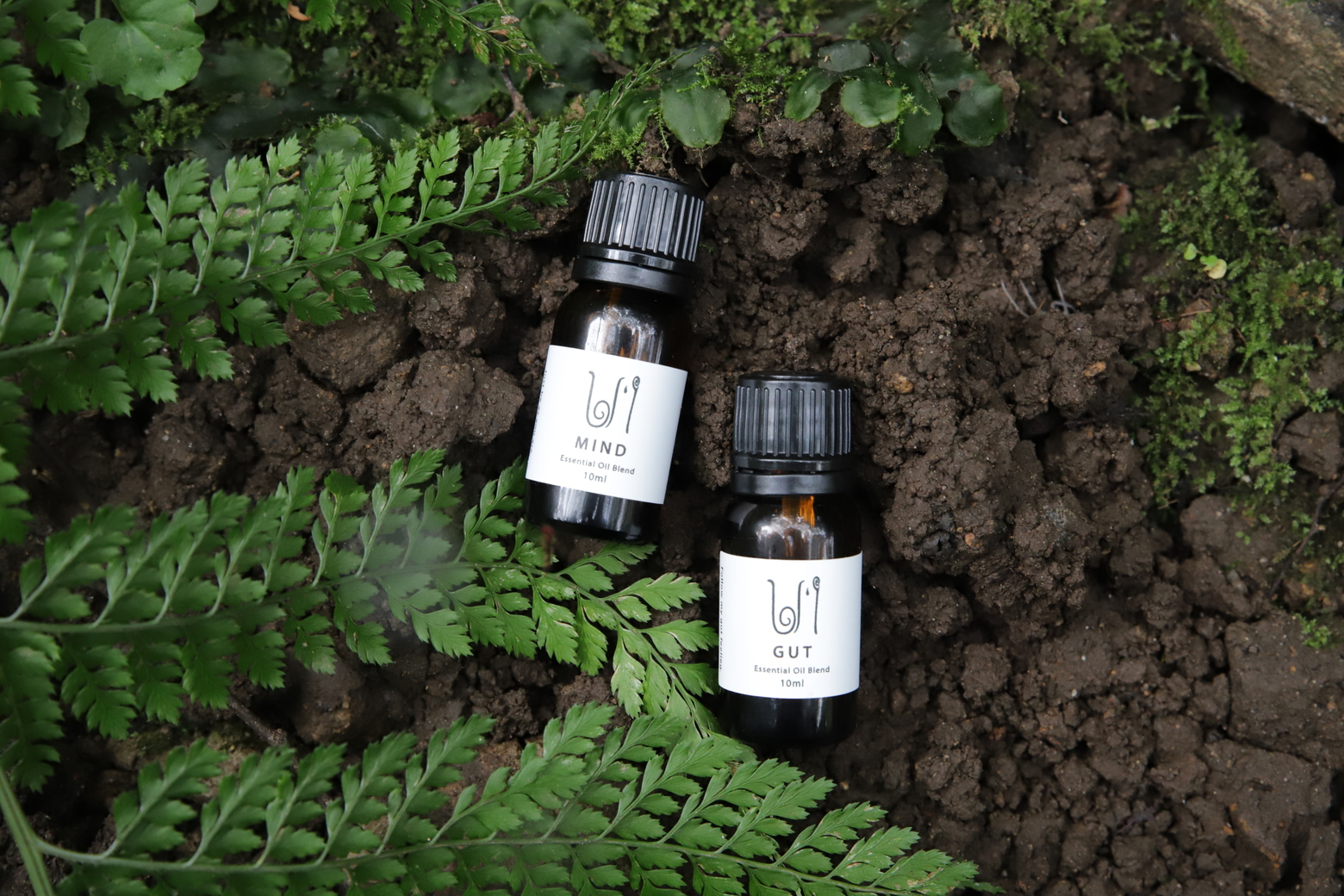 精油　GUT, MIND 　SOLD OUT　入荷待ちのご案内
