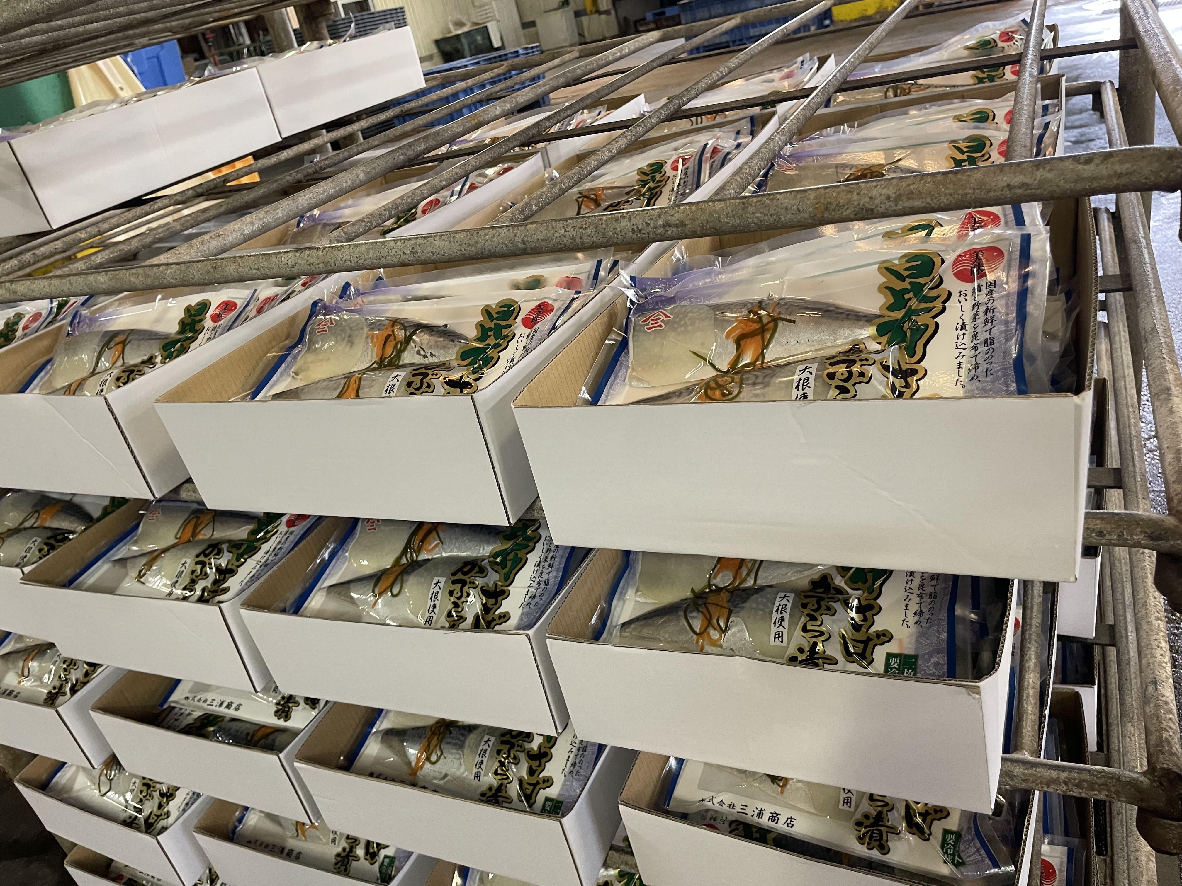 しめ鯖とアニサキス:知っておくべき危険性とは?