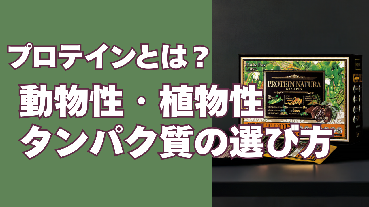 植物性プロテインという選択 ~ タンパク質と、体との付き合い方を考える