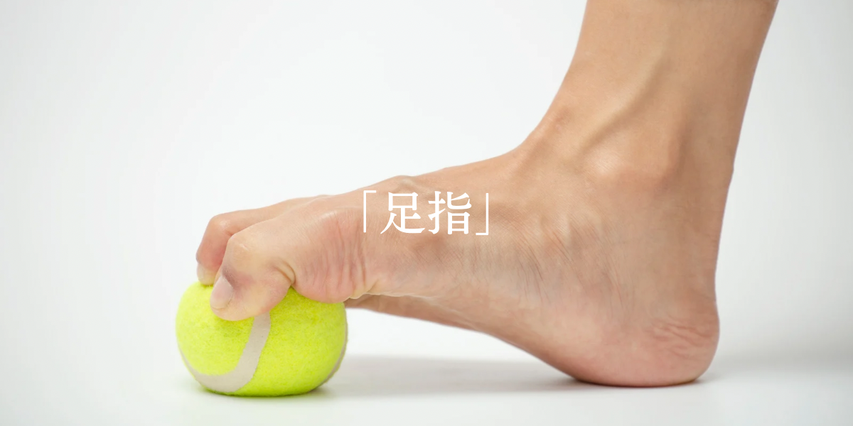 「足指」