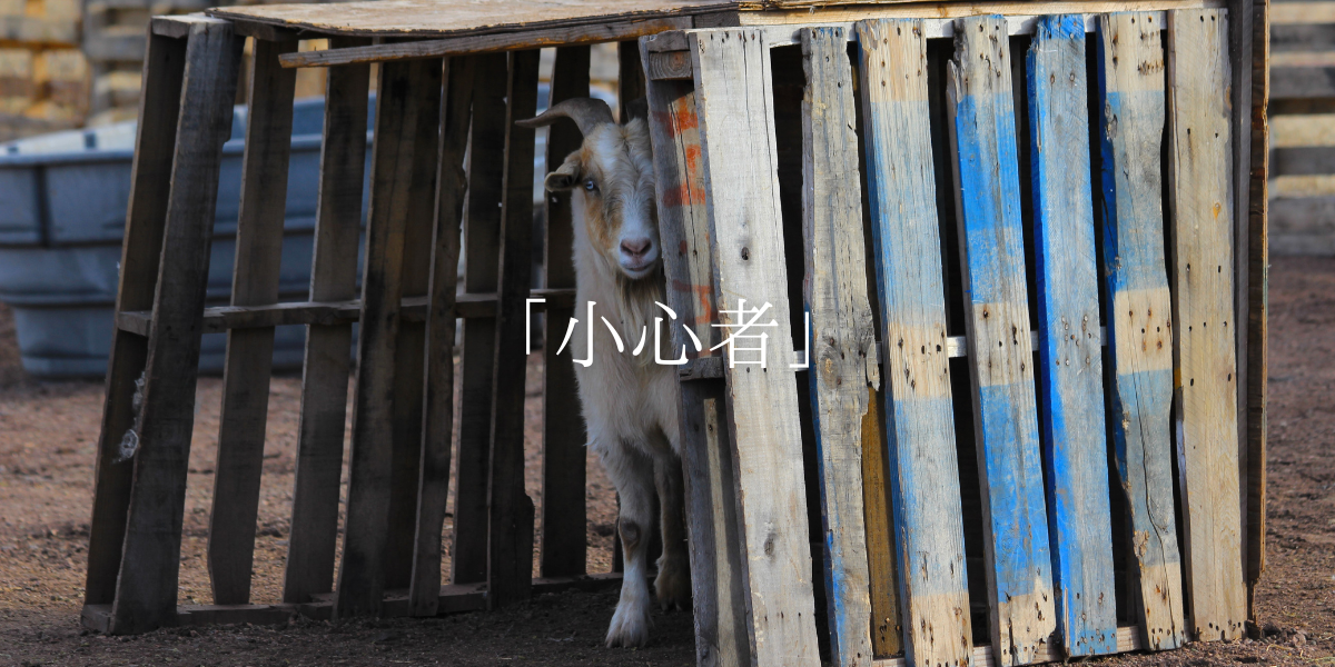 「小心者」