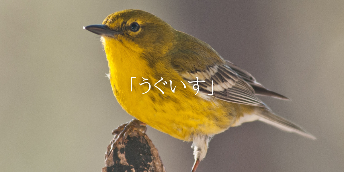 「うぐいす」