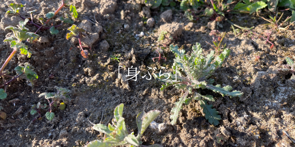 「身ぶら」