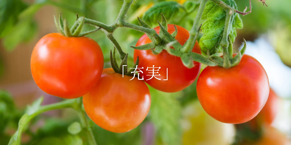 「充実」