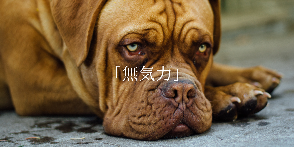 「無気力」