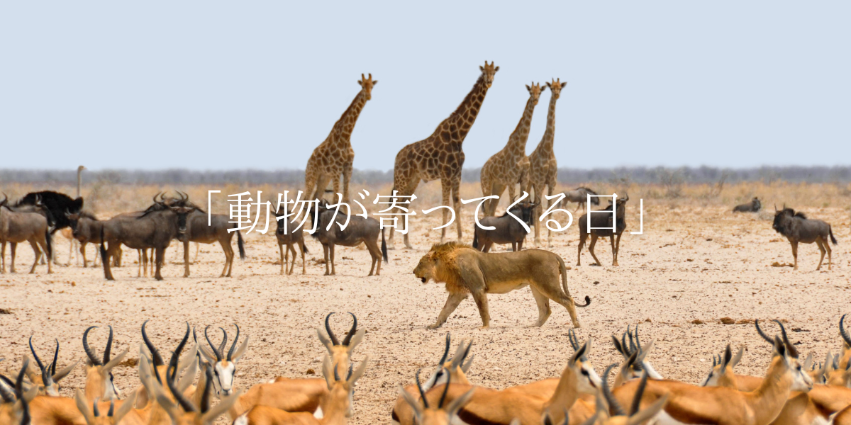「動物が寄ってくる日」
