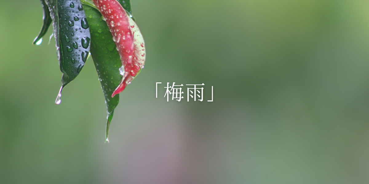 「梅雨」