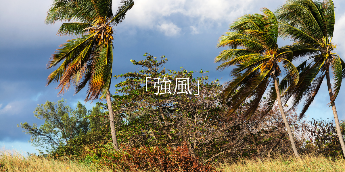「強風」