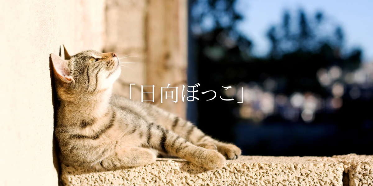 「日向ぼっこ」