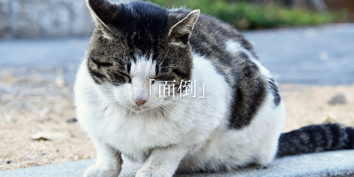 「面倒」