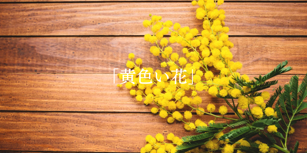 「黄色い花」