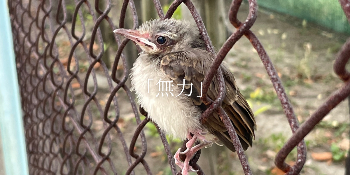 「無力」