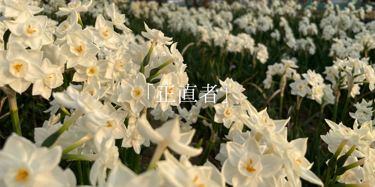 「正直者」