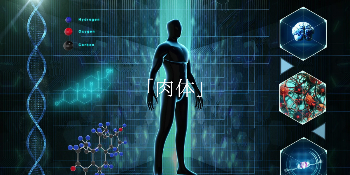 「肉体」