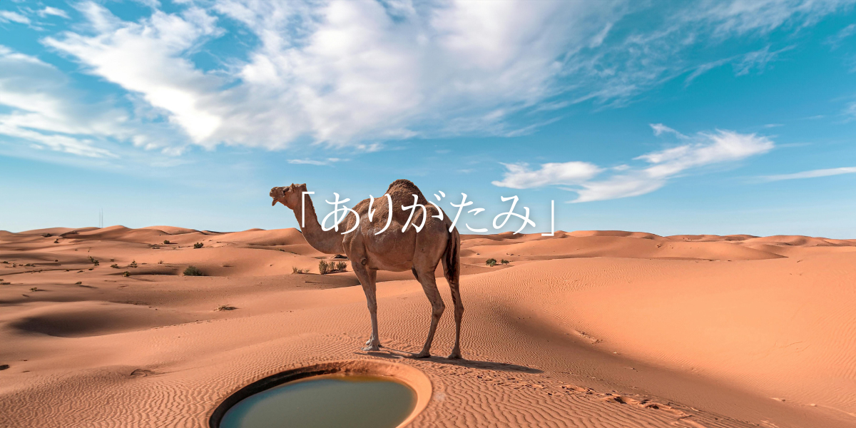 ありがたみ