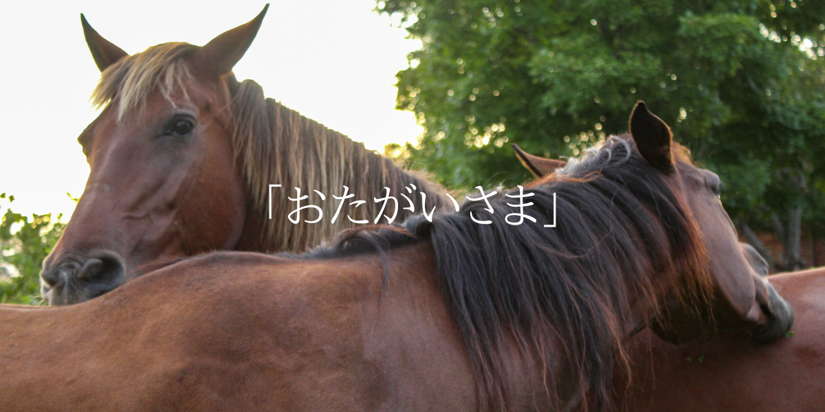 「おたがいさま」