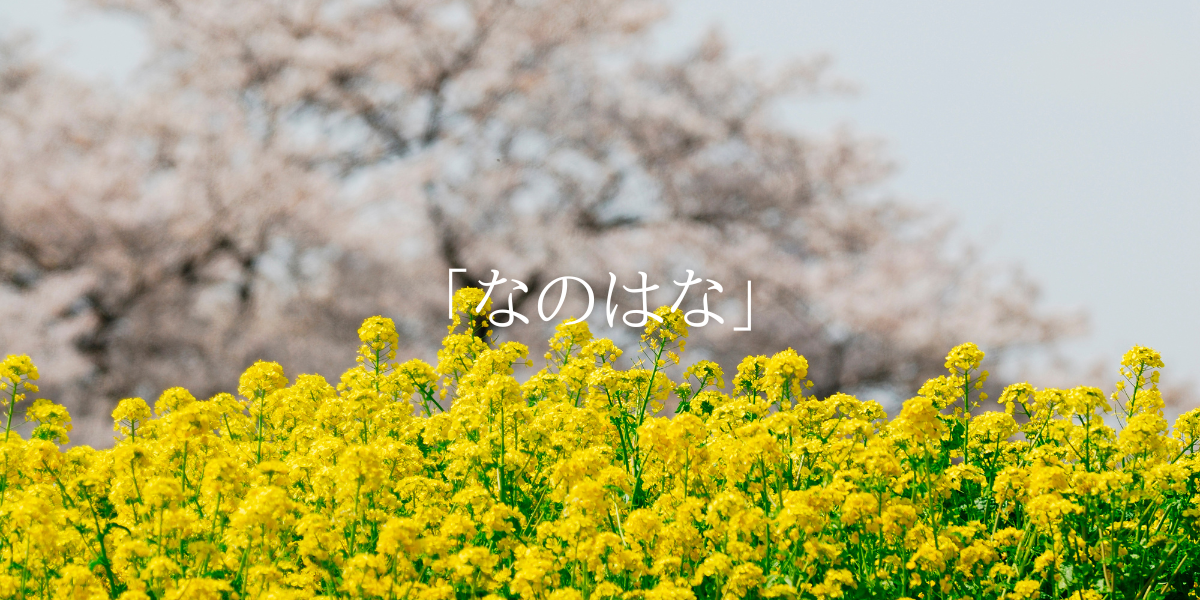 「なのはな」