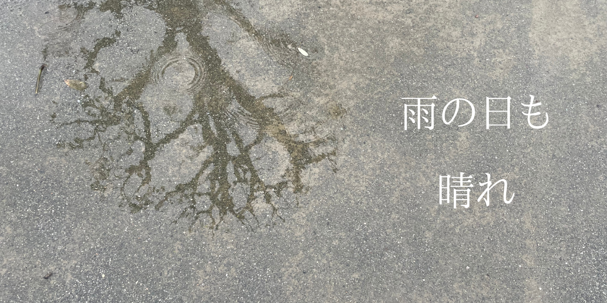 雨の日も晴れ