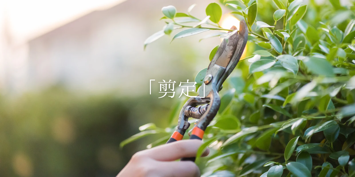 「剪定」
