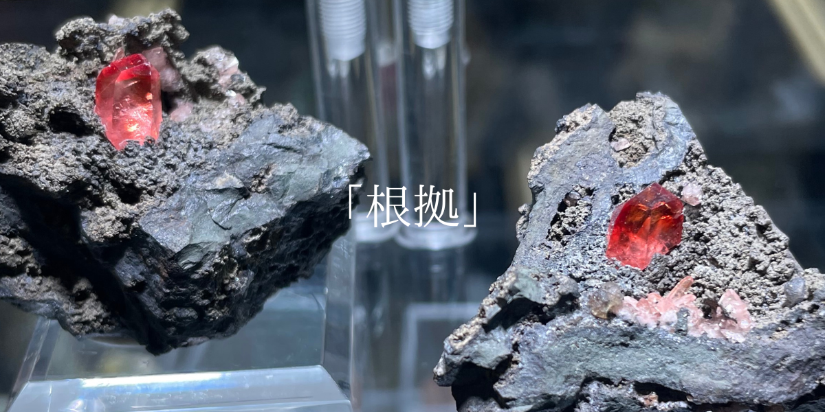 「根拠」