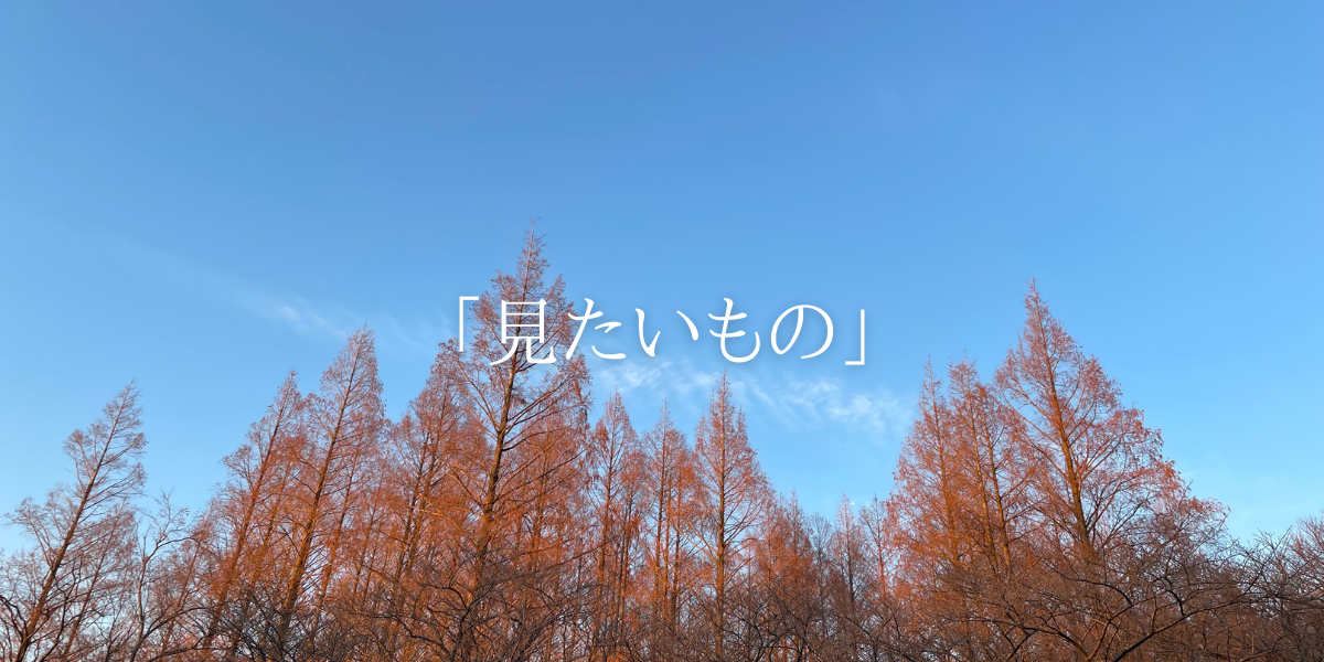 「見たいもの」