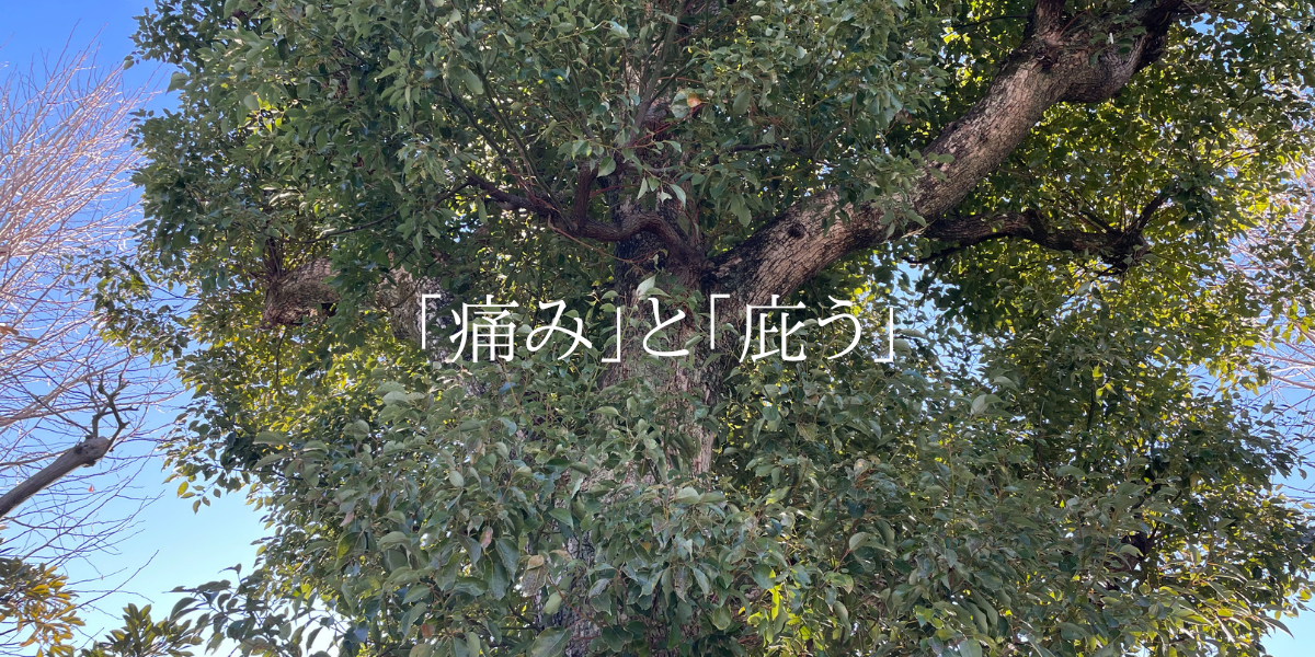 「痛み」と「庇う」