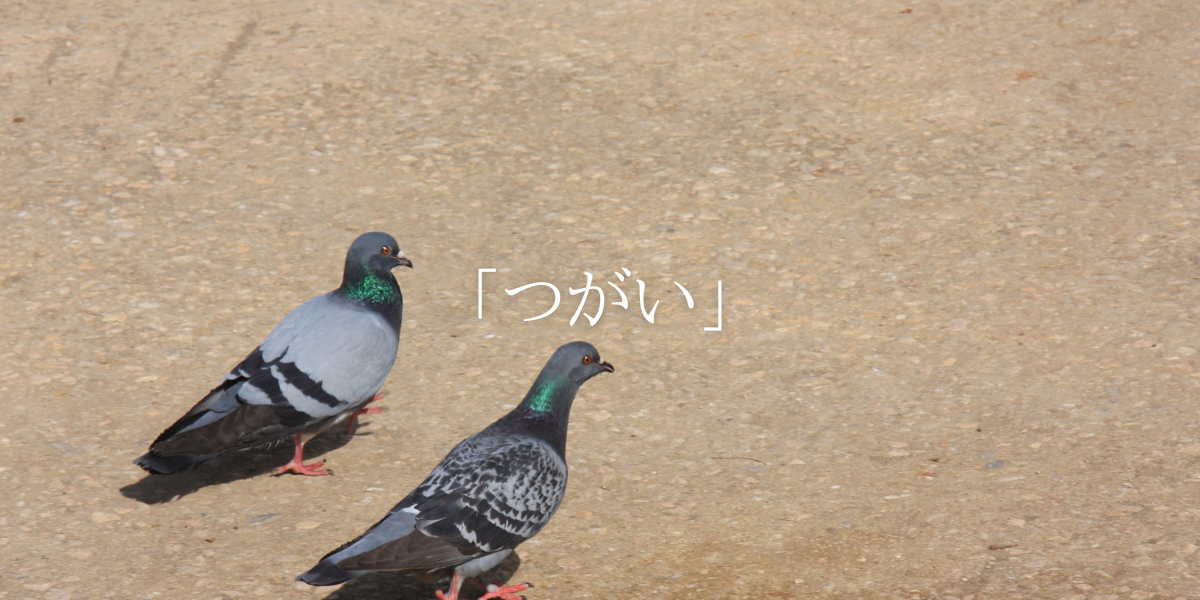 「つがい」