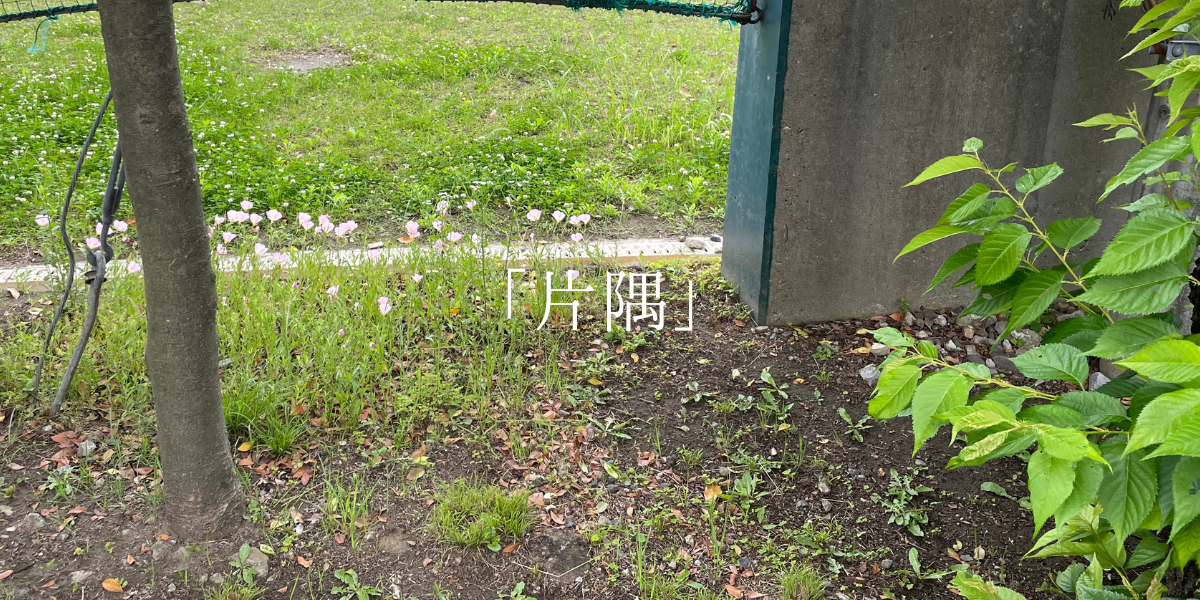「片隅」